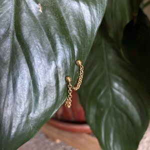 Hello Adorn Chain Stud Hoops